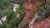 PICTURES/Emerald Pool Hike/t_Virgin River2.JPG